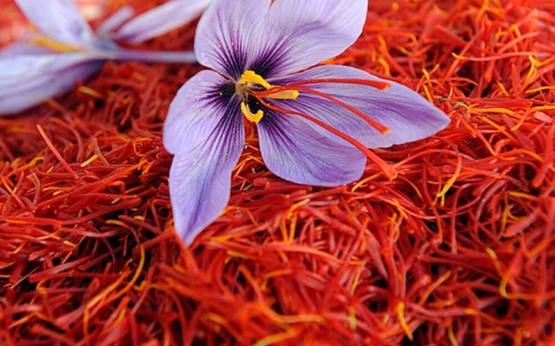 Cover Image for How to Buy Iranian Saffron and Import It Globally