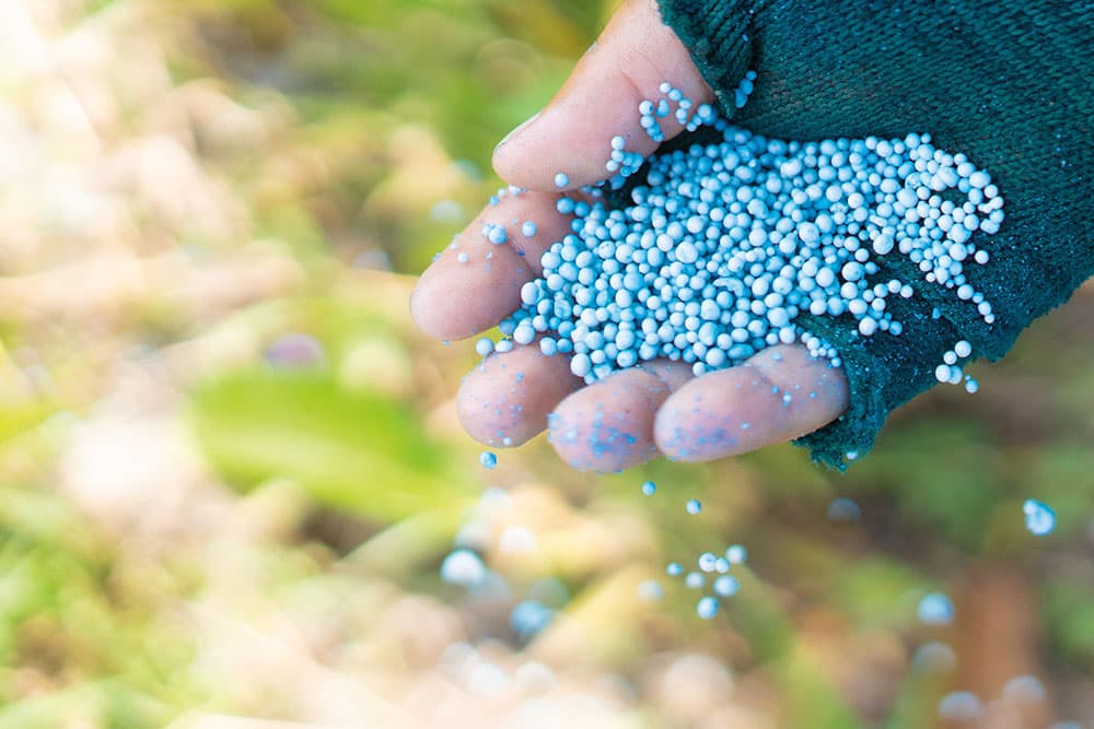 Cover Image for Unlocking Iranian Urea Import Opportunities in 2025