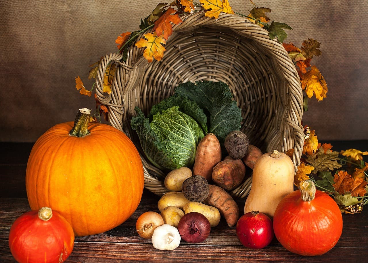 agricultural image